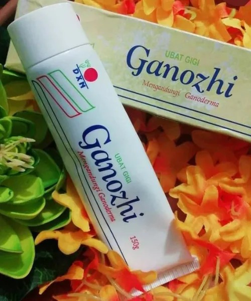 Ganozhi toothpaste 150g