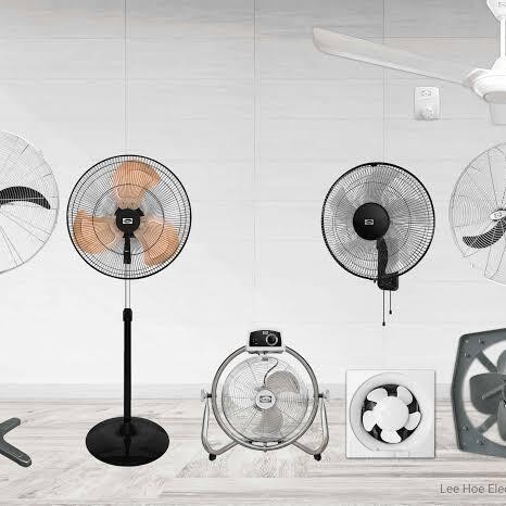 Fan
